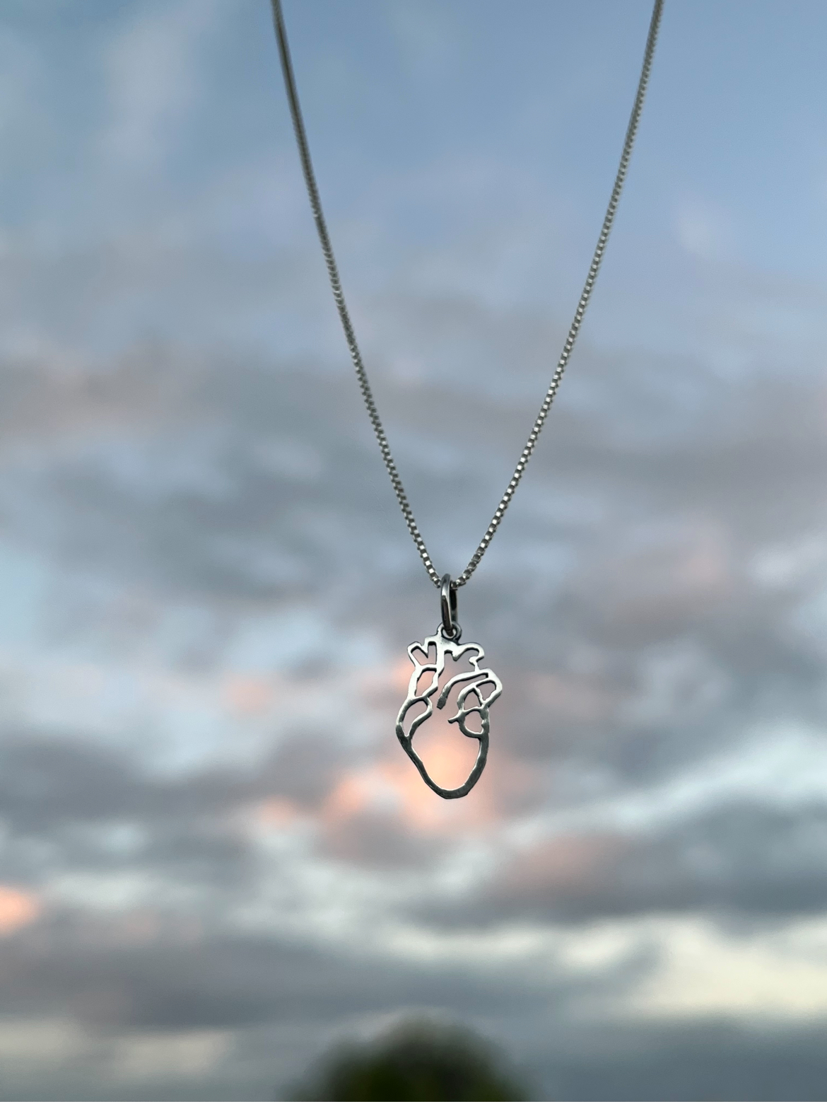 Pendente Plantar Semente - Imagem 3