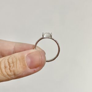 Anel Sui Generis Maior